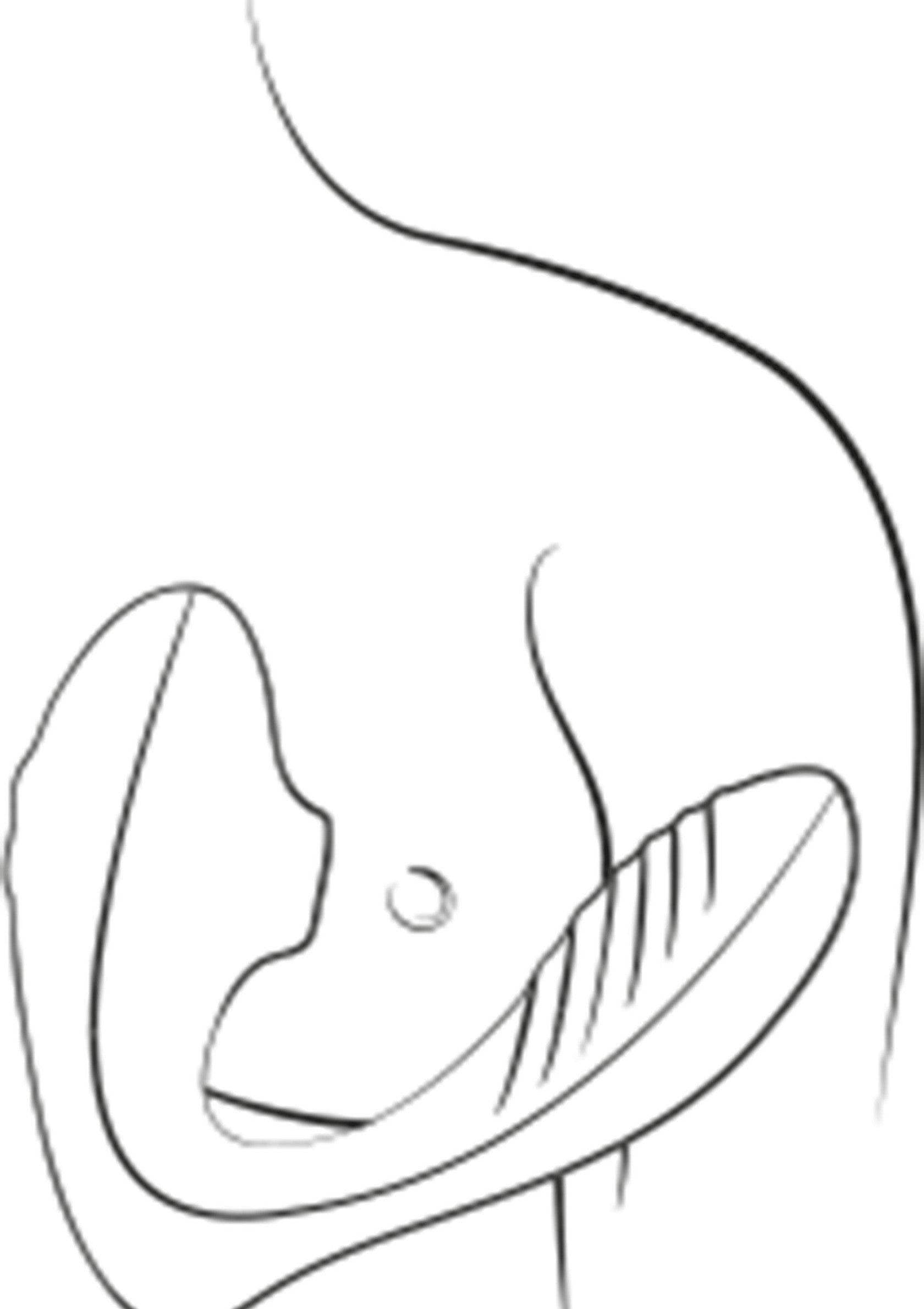 Dessin au trait simple d'un stimulateur clitoridien et d'un sein, pour le plaisir intime.; Eenvoudige lijntekening van een clitorisstimulator en borst, voor intiem genot.; Simple line drawing of a clitoral stimulator and breast, for intimate pleasure.