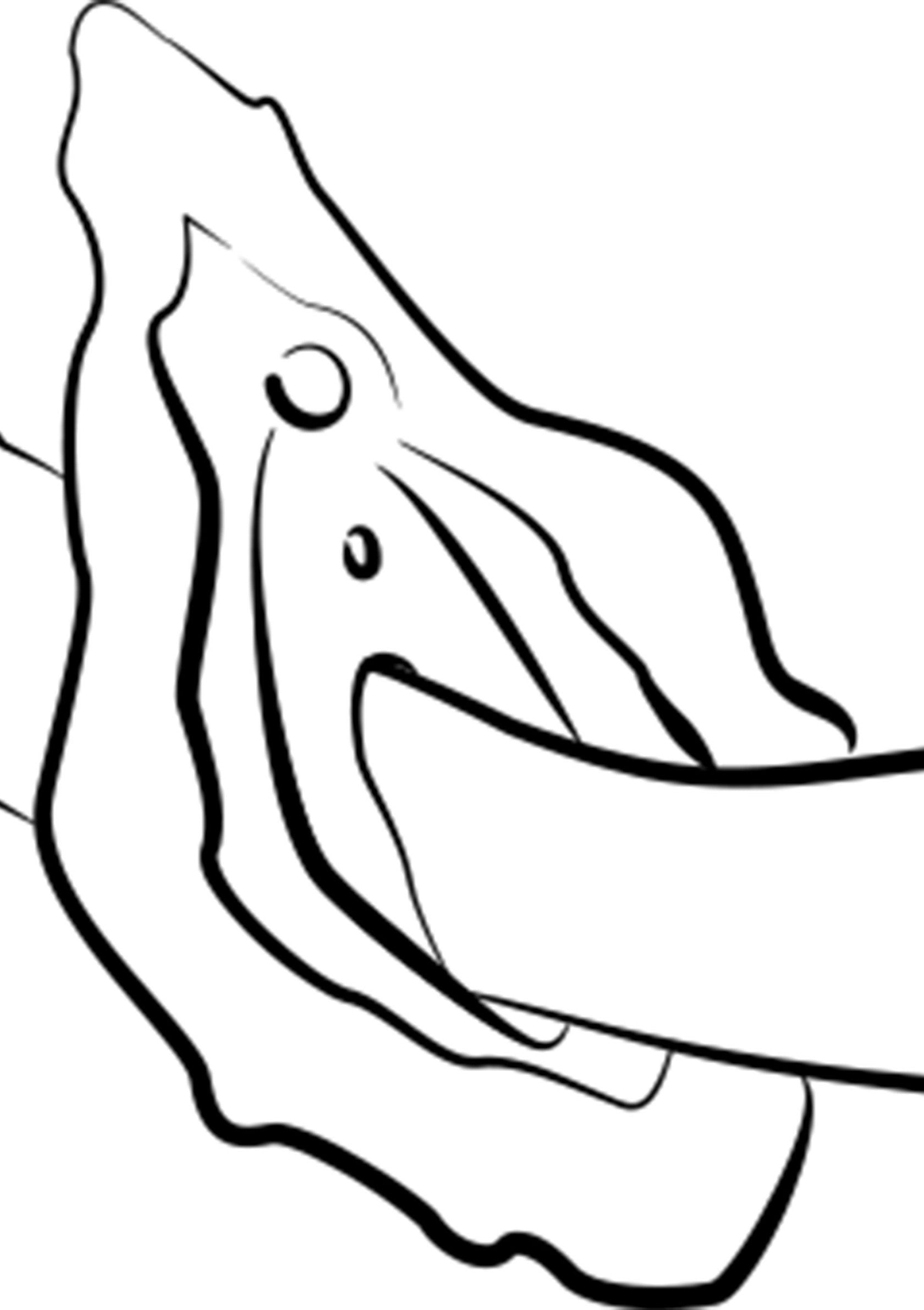 Dessin au trait abstrait de forme organique, idéal pour un design minimaliste et moderne.; Abstracte lijntekening van een organische vorm, ideaal voor minimalistisch en modern design.; Abstract line drawing of organic shape, great for minimalist and modern design.
