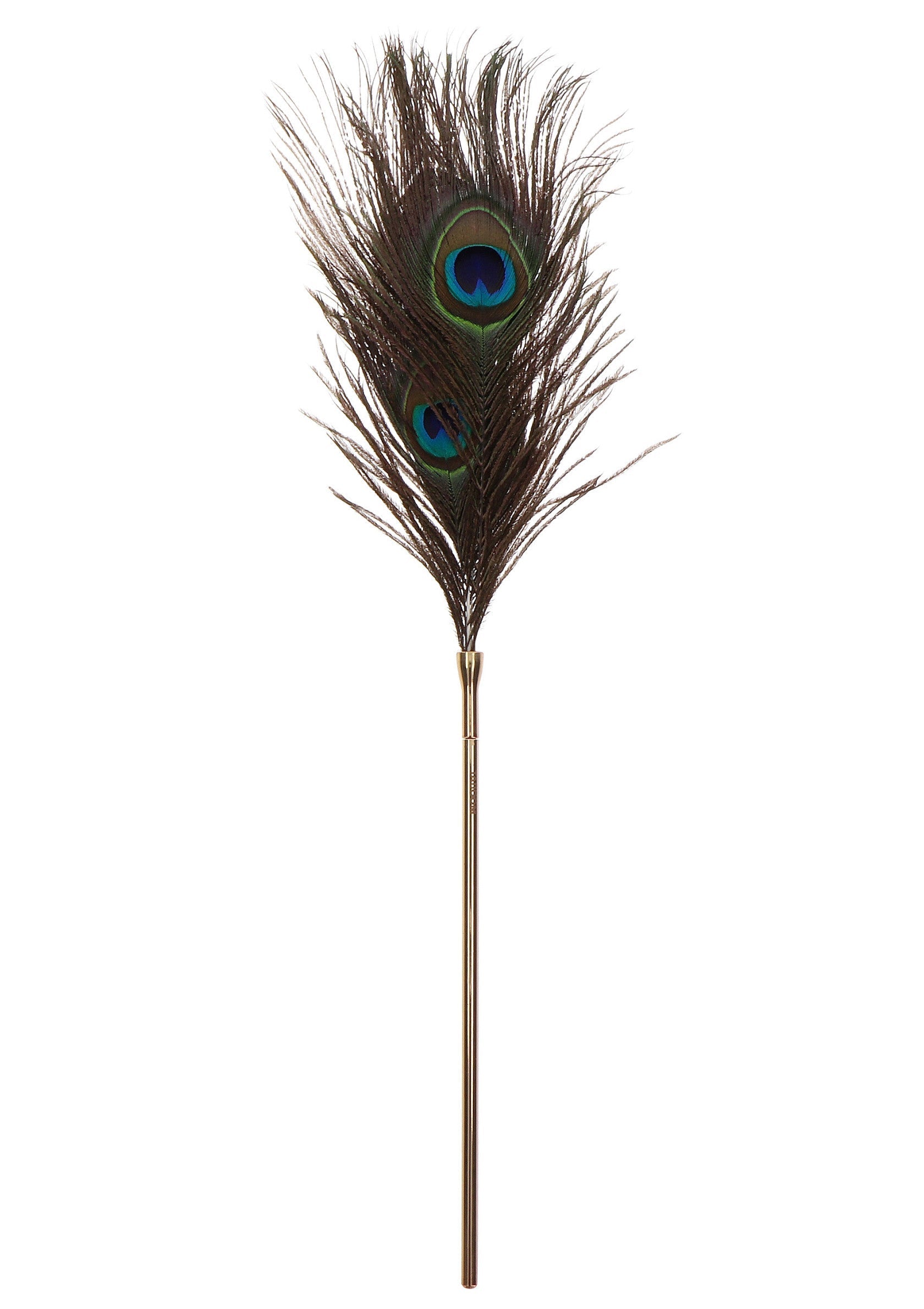 Plume de paon décorative, élégante pour un décor unique.; Decoratieve pauwenveer, elegant voor een unieke decoratie.; Decorative peacock feather, elegant for a unique decor.