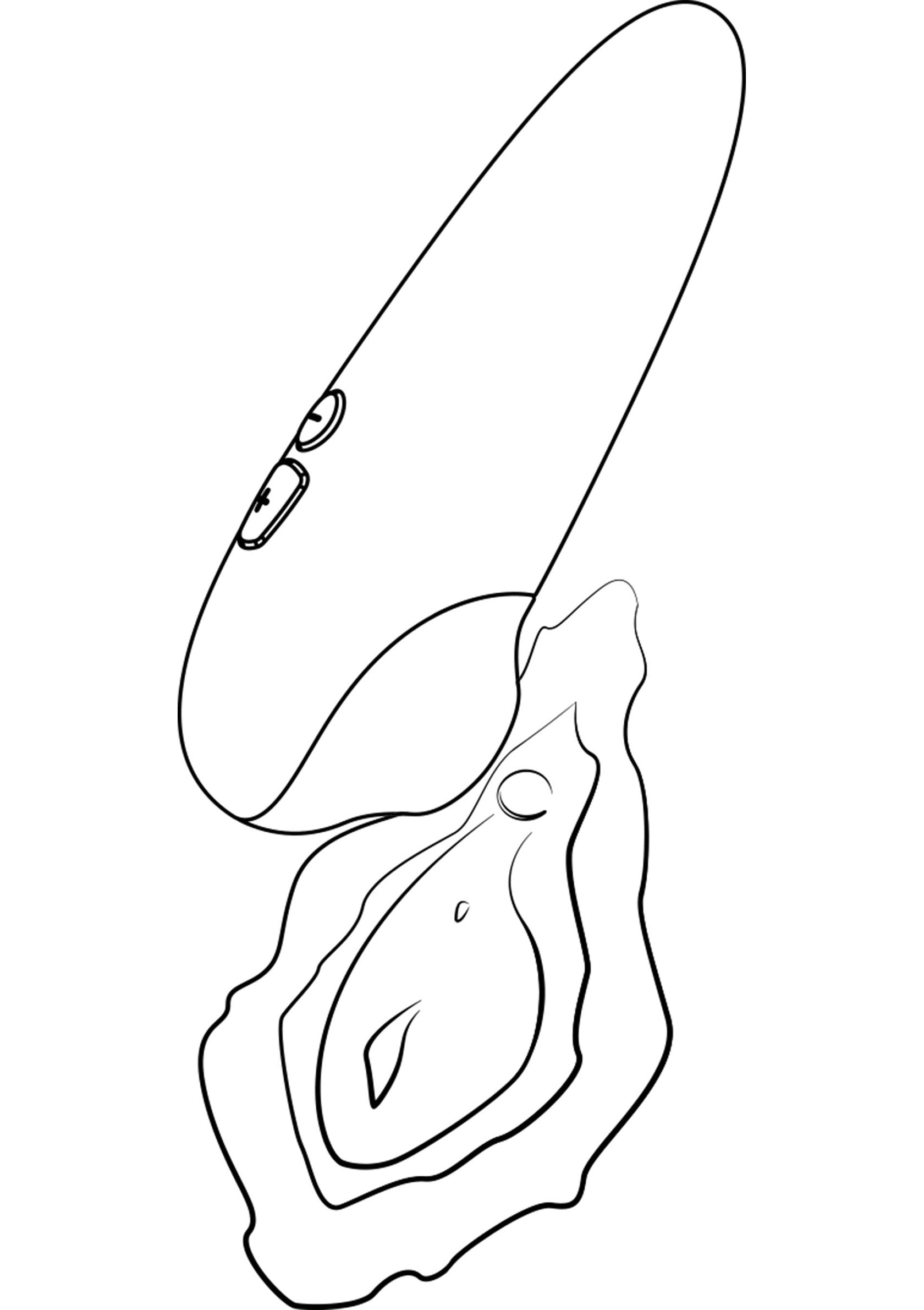 Dessin au trait d'une huître ouverte. Parfait pour vos projets de design marin et de fruits de mer.; Lijntekening van een geopende oester. Perfect voor uw maritieme en zeevruchtenontwerpprojecten.; Line drawing of an opened oyster. Perfect for your maritime and seafood design projects.