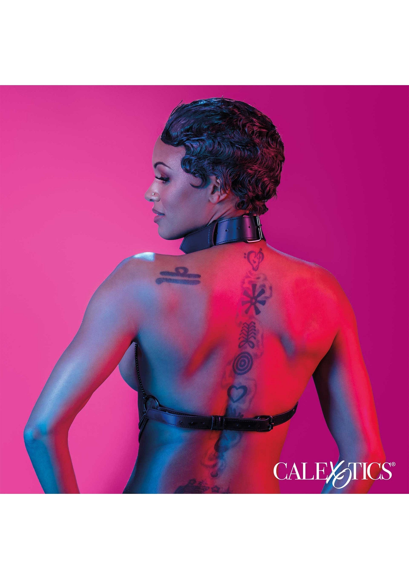 CalExotics Chain Collar Harness
