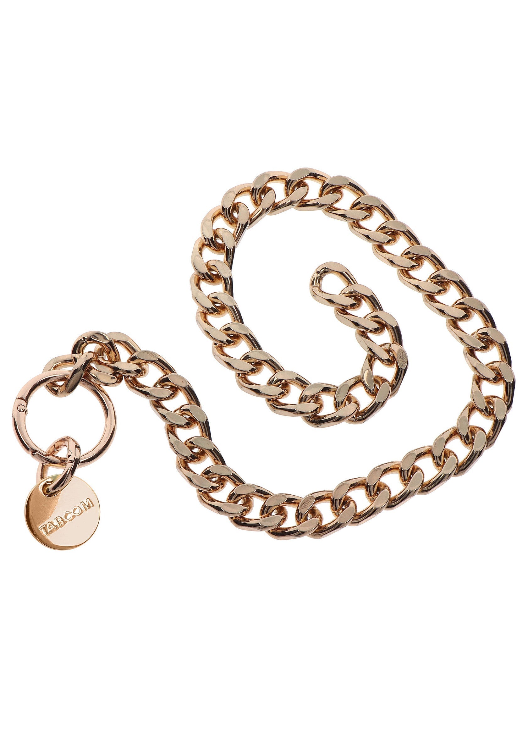 Taboom Statement Collar and leash