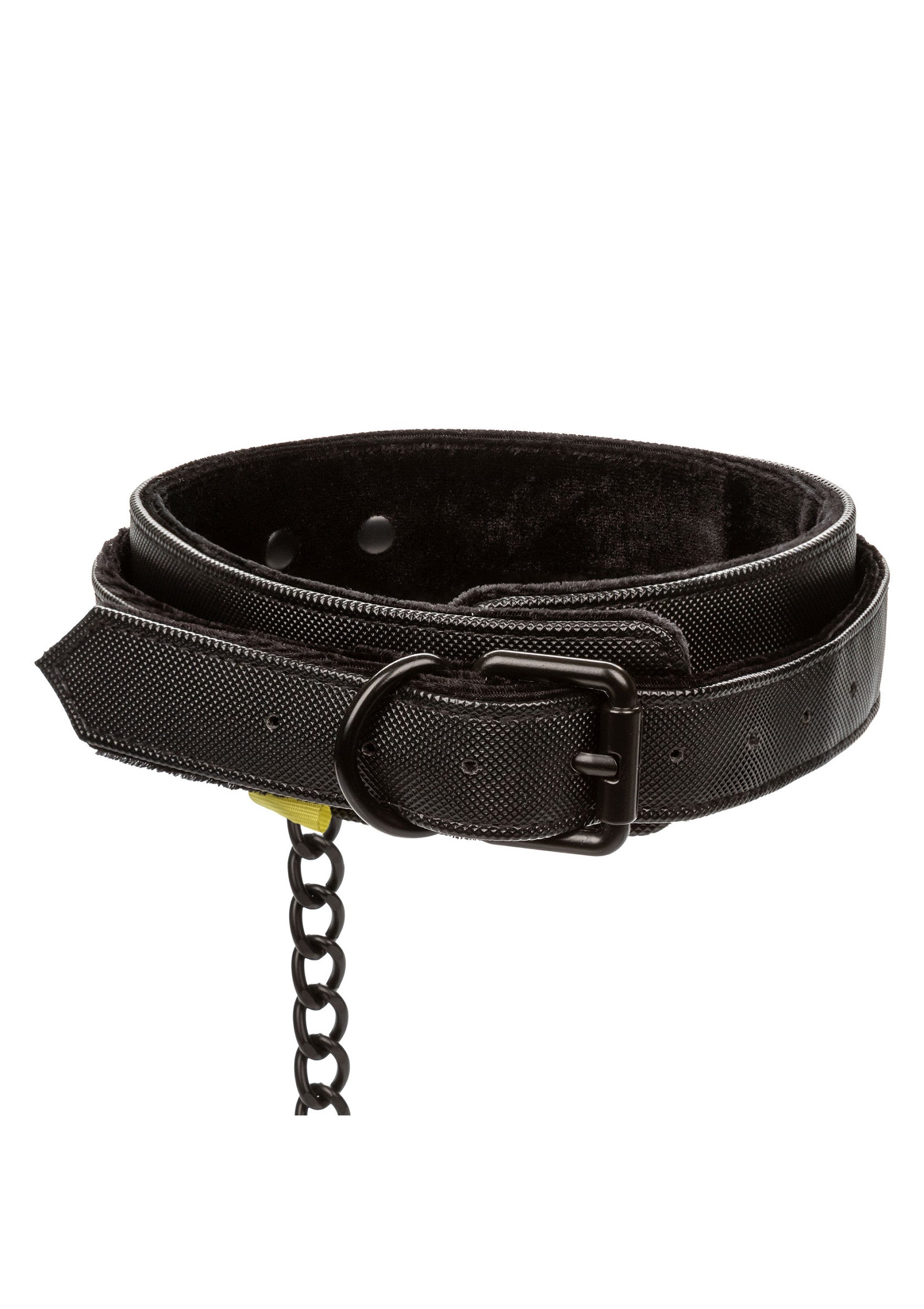 CalExotics Boundless Collar & Leash