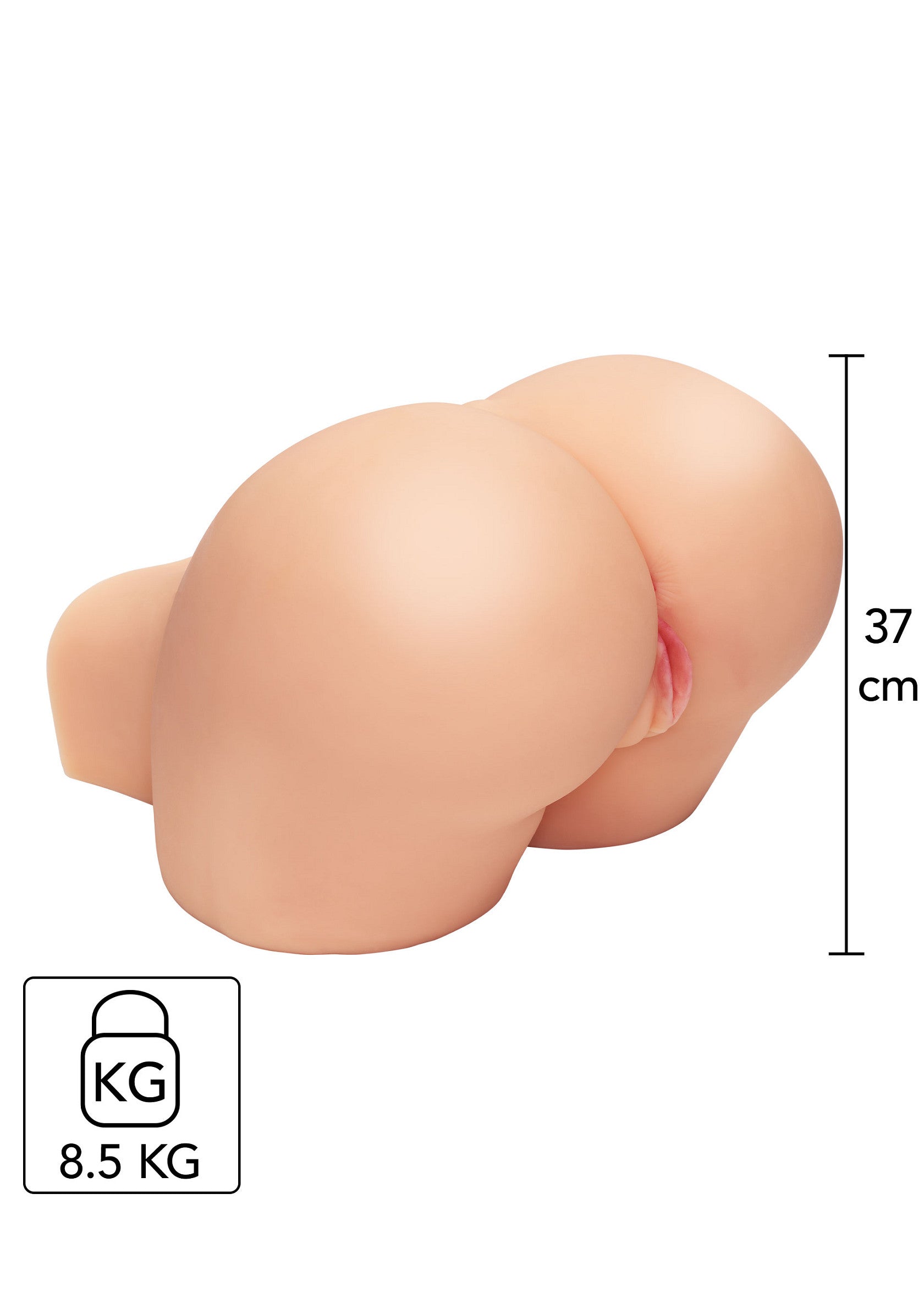 Fesses artificielles réalistes de 37cm et 8.5kg pour une expérience unique.; Realistische kunstbillen van 37cm en 8,5kg voor een unieke ervaring.; Realistic artificial butt, 37cm and 8.5kg for a unique experience.