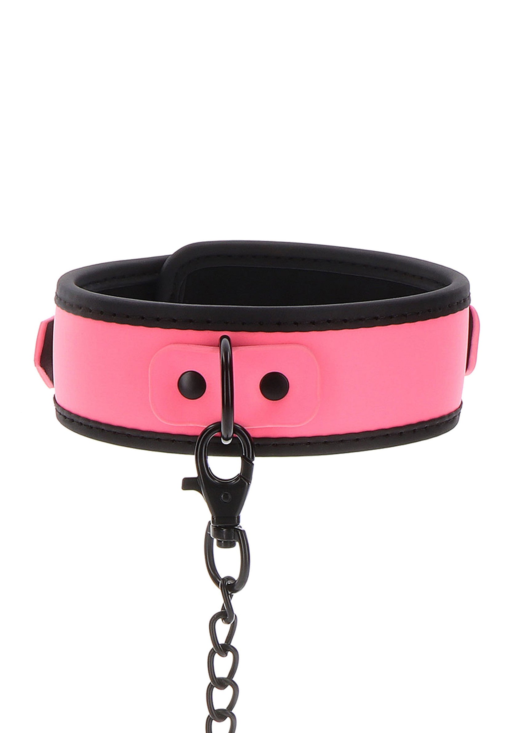 Taboom Collar and Chain Leash