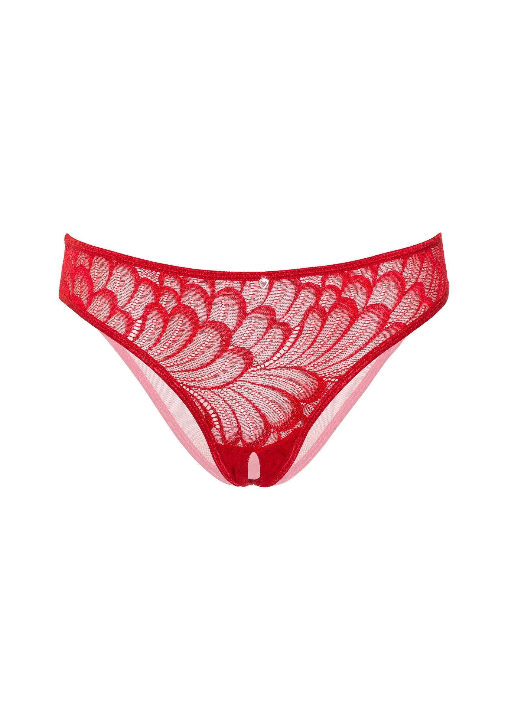 Culotte rouge en dentelle florale. Lingerie féminine, sexy et confortable.; Rode slip van bloemenkant. Vrouwenlingerie, sexy en comfortabel.; Red floral lace briefs. Women's lingerie, sexy and comfortable.