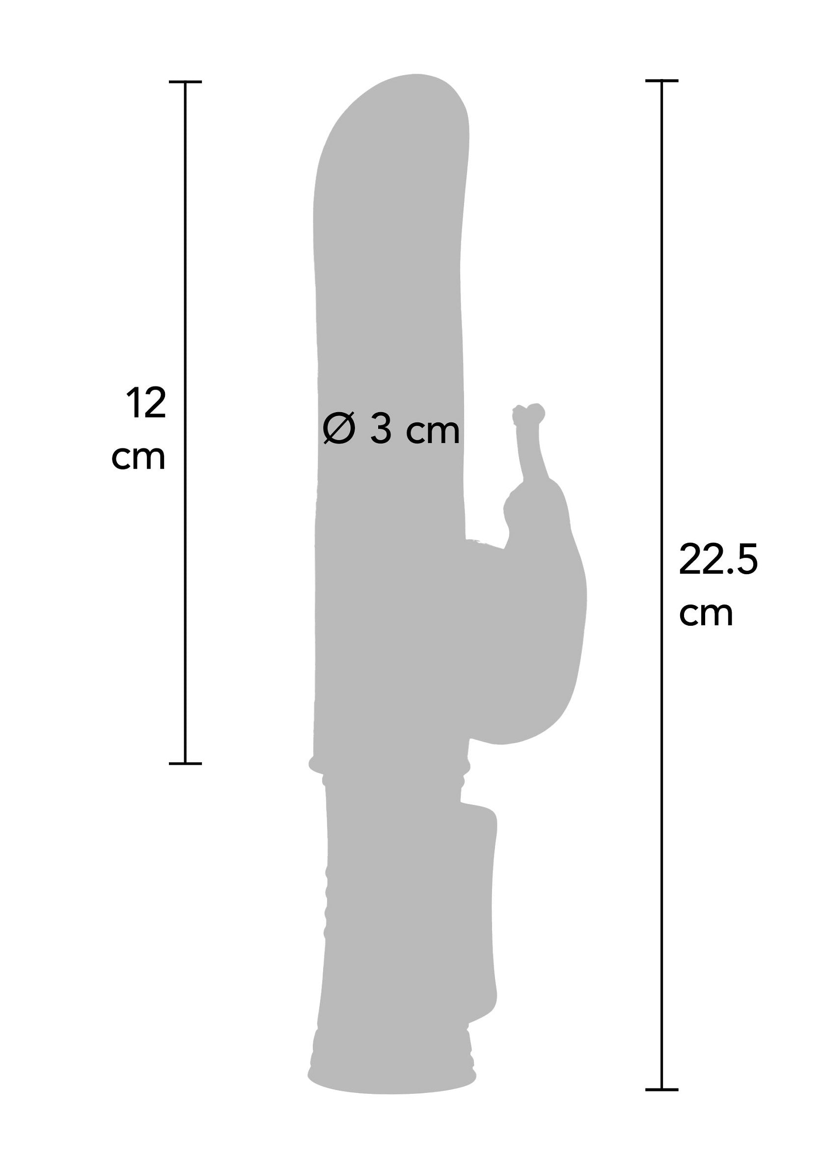 Dimensions détaillées d'un gode : hauteur 22,5 cm, diamètre 3 cm, pointe 12 cm. Parfait pour le plaisir solitaire.; Gedetailleerde afmetingen van een dildo: hoogte 22,5 cm, diameter 3 cm, punt 12 cm. Perfect voor solo plezier.; Detailed dimensions of a dildo: height 22.5 cm, diameter 3 cm, tip 12 cm. Perfect for solo pleasure.