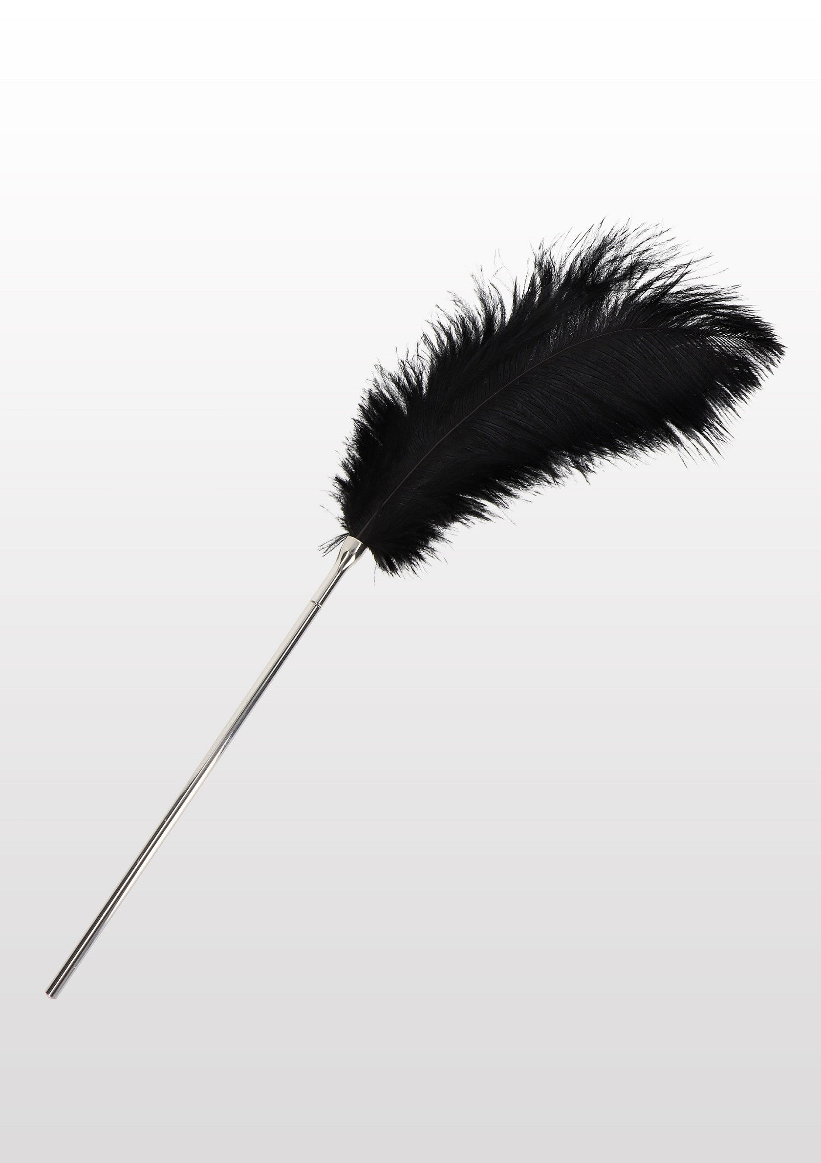Plume noire élégante avec manche en métal. Accessoire décoratif raffiné pour une touche de sophistication.; Elegante zwarte veer met metalen handvat. Verfijnde decoratieve accessoire voor een vleugje verfijning.; Elegant black feather with metal handle. Refined decorative accessory for a touch of sophistication.