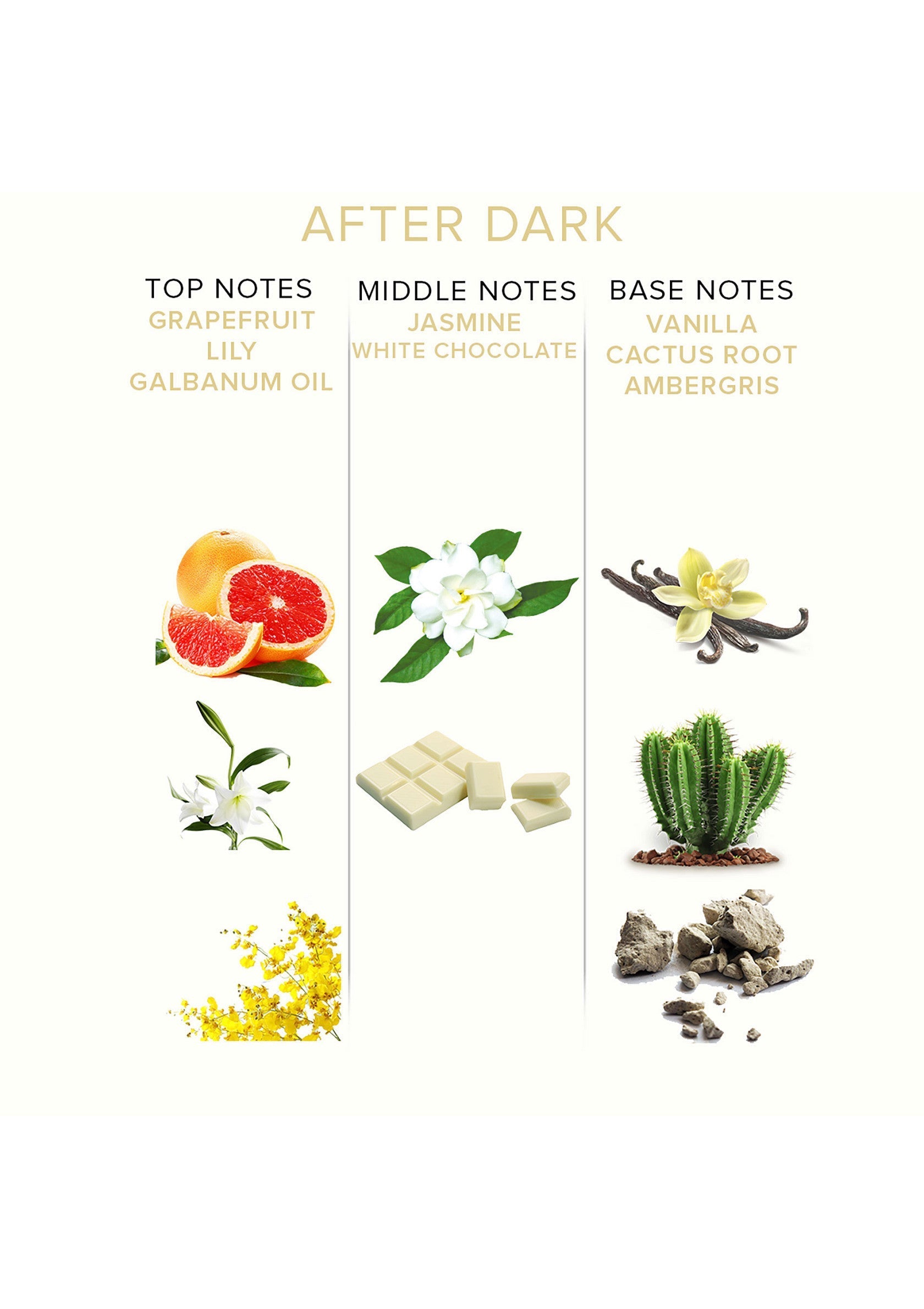 Parfum After Dark : notes de pamplemousse, jasmin et vanille. Une fragrance captivante !; After Dark parfum: grapefruit, jasmijn & vanille noten. Een boeiende geur!; After Dark perfume: grapefruit, jasmine & vanilla notes. A captivating fragrance!