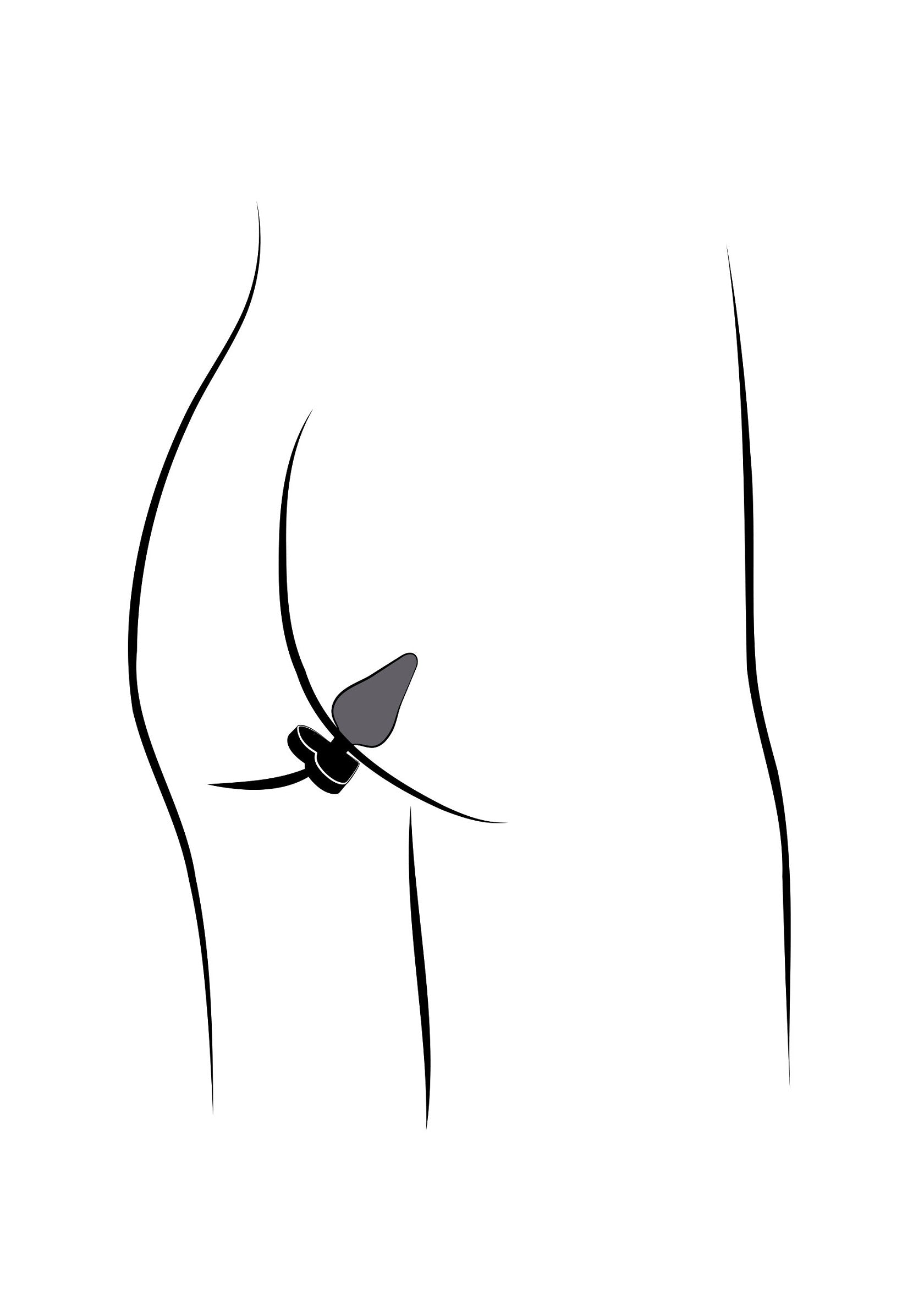 Romp Luster Anal training Kit
